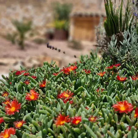 Bed & Breakfast Casa Rodriguillo Pinoso